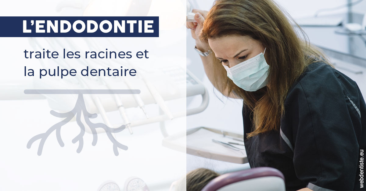 https://dr-grenard-annabelle.chirurgiens-dentistes.fr/L'endodontie 1