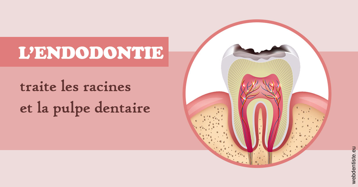 https://dr-grenard-annabelle.chirurgiens-dentistes.fr/L'endodontie 2