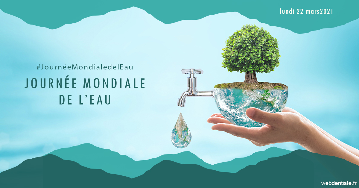 https://dr-grenard-annabelle.chirurgiens-dentistes.fr/Journée de l'eau 1